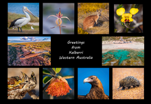 Load image into Gallery viewer, Greetings from Kalbarri - Folded Greeting Card 5x7 - Design 8