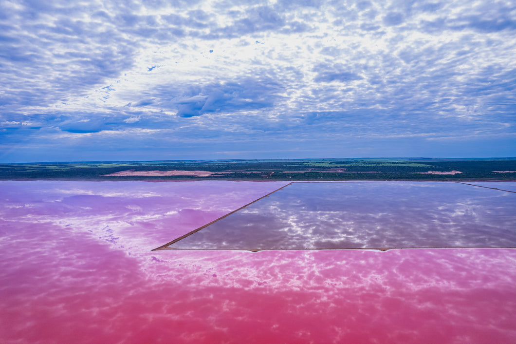 WW529 - Pink Lake