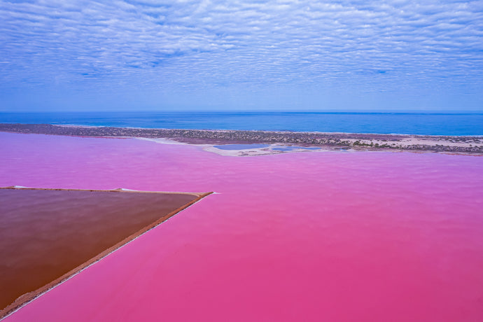 WW531 - Pink Lake