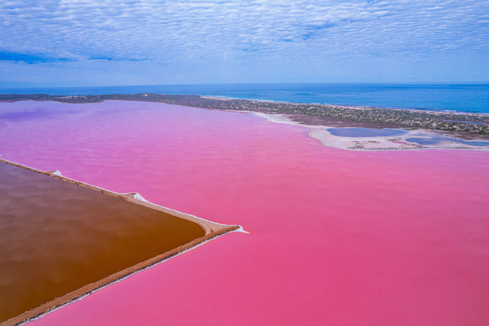 WW532 - Pink Lake