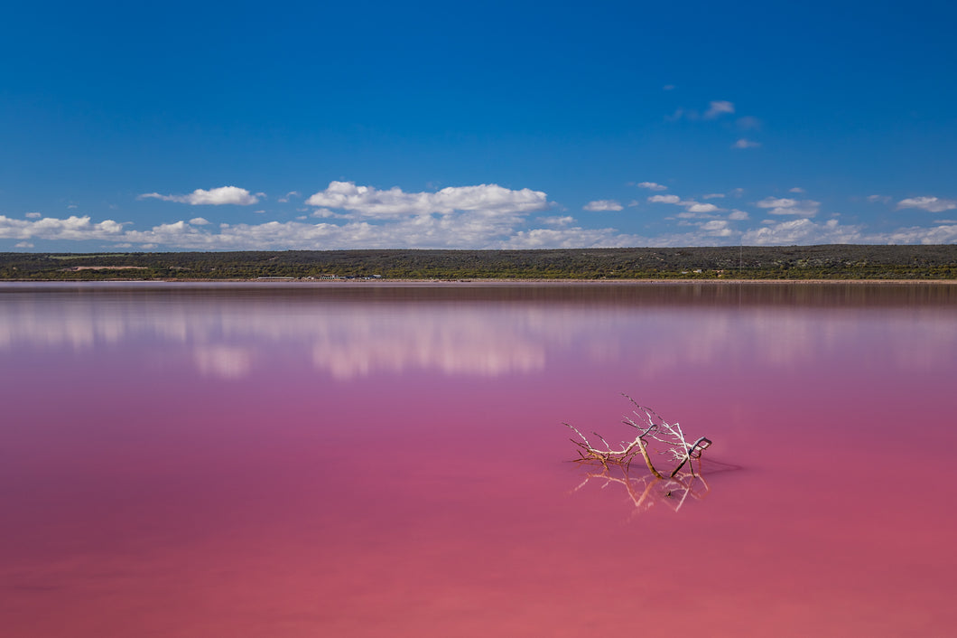 WW517 - Pink Lake