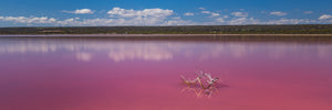 WW535 - Pink Lake Pano